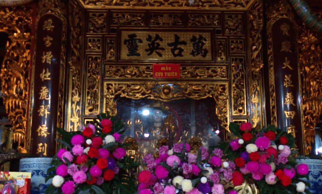 Cung Đại Bái