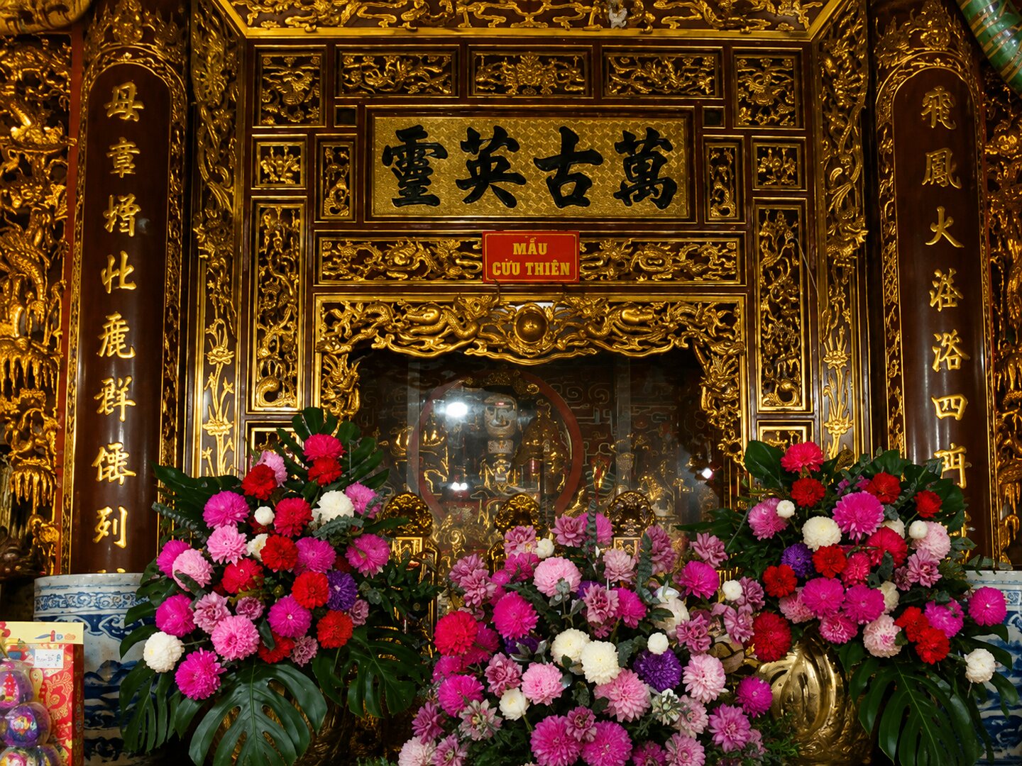 Cung Đại Bái
